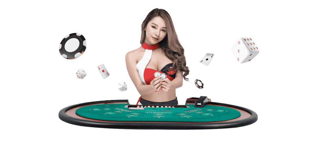 kubet net