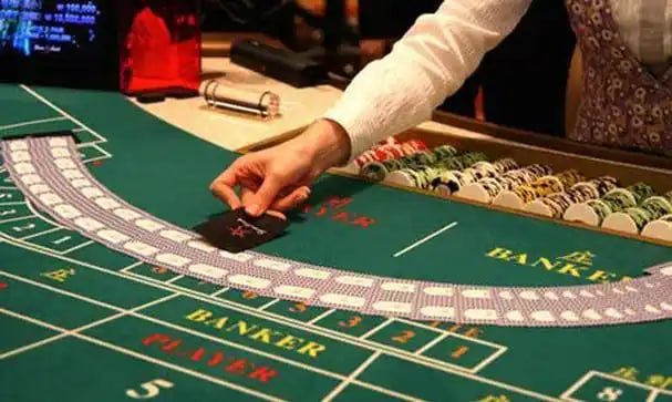 kubet net